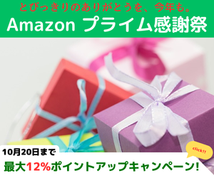 Amazon ポイントアップキャンペーン　プライム感謝祭 2024 10/19 土曜0時から10/20 日曜23時59分まで、トップブランドや中小企業から数多くのお買得商品が48時間に渡って登場