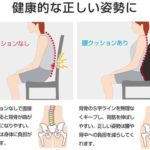 座って背筋をスッキリ矯正☆ 背筋をやさしく支えてくれる「ランバーサポートクッション」