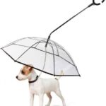 雨の日でもペットとお散歩を☆ 雨からペットを守る「ペット用傘」
